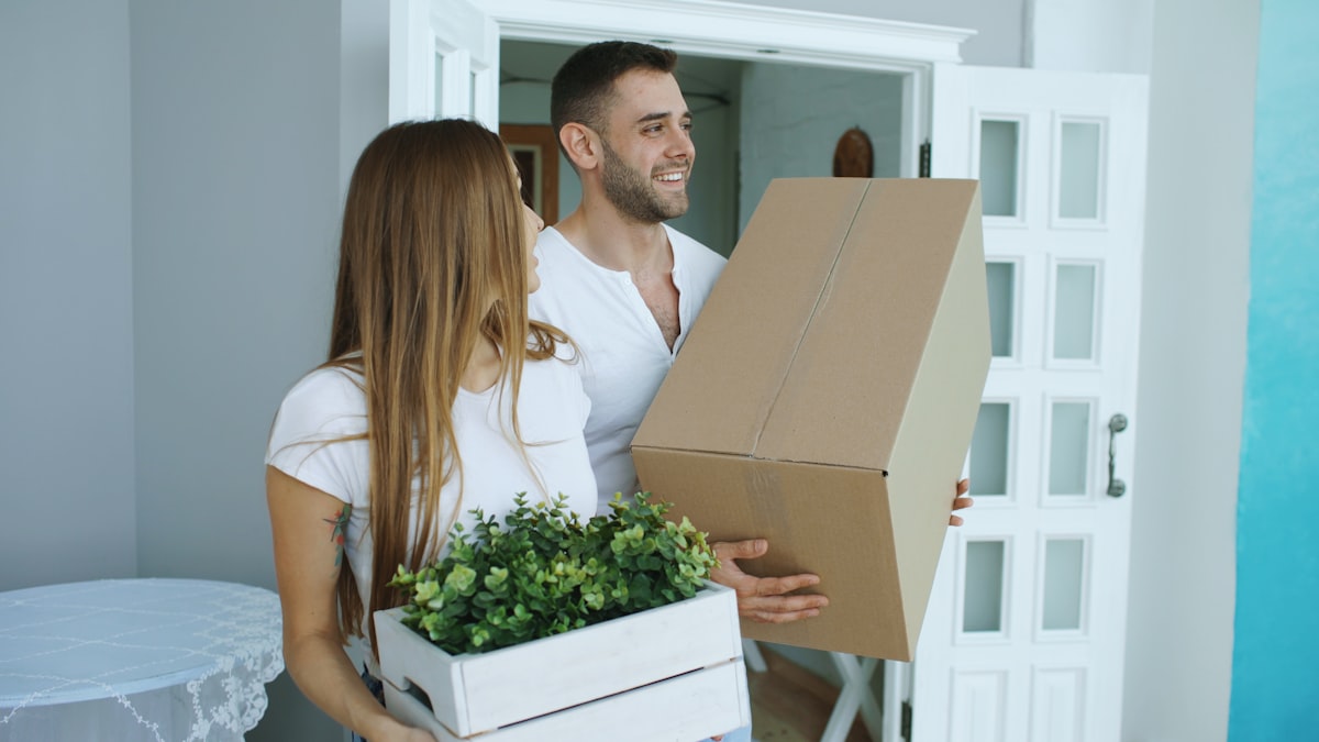 House Removals